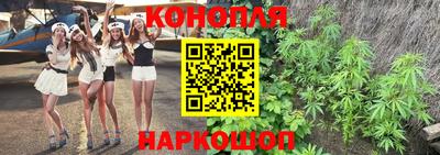 дмт Новокубанск