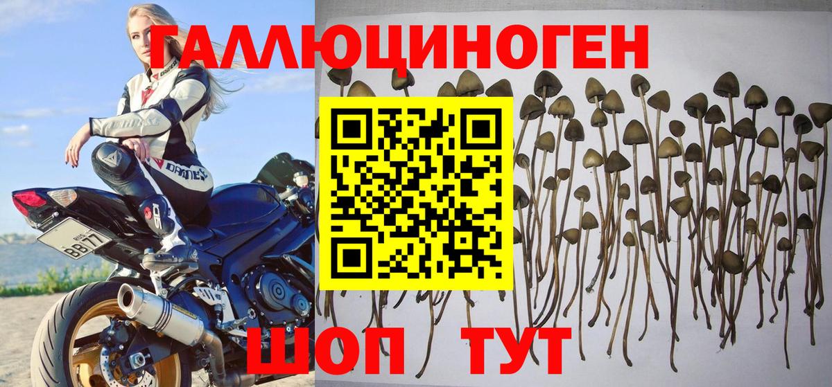 Псилоцибиновые грибы Magic Shrooms Ревда