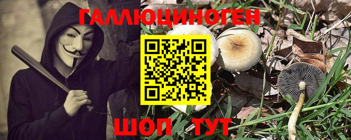 Галлюциногенные грибы Magic Shrooms  Вход с VPN  Ревда 