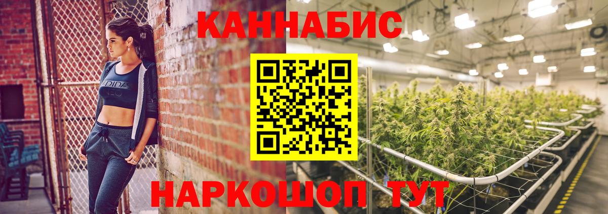 Бошки марихуана конопля Ревда